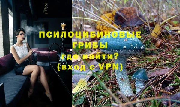 бутират Вяземский