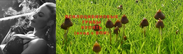 стаф Вязники
