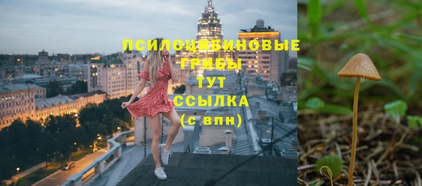 бутират Вяземский