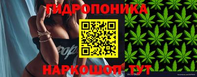 марихуана Заводоуковск