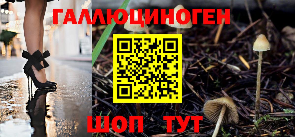 Наро-Фоминск  Псилоцибиновые грибы Psilocybe  Вход с VPN 